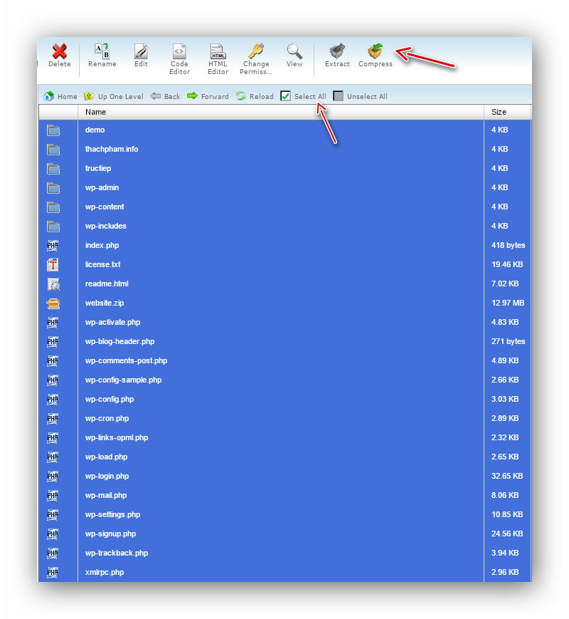 Cách backup thủ công website WordPress trên host