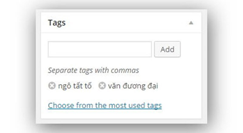 cách thêm tag cho website