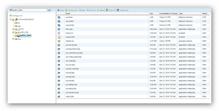 chuyển dữ liệu từ localhost lên host
