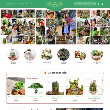 Theme wordpress flatsome bán cây xanh terrarium