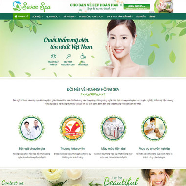 Theme wordpress flatsome spa 01